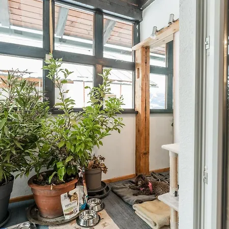 Nyaraló Quartier 179 By Schladming-appartements Schladming